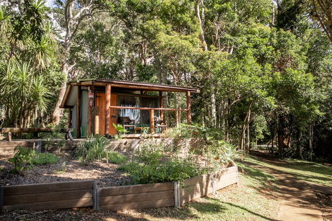 Binna Burra Rainforest Campsite - New Castle Holiday 1