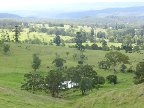 Anduramba Homestead B & B - New Castle Holiday 4