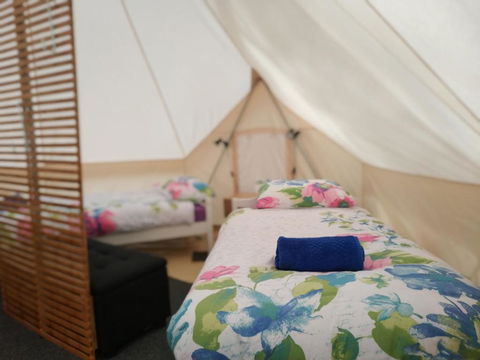 Glamping At Zeehan Bush Camp - New Castle Holiday 6