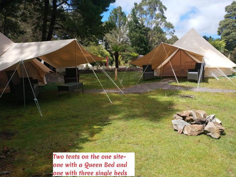 Glamping At Zeehan Bush Camp - New Castle Holiday 2
