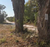 COONARR BEACH  BUNDABERG CAMPING - New Castle Holiday