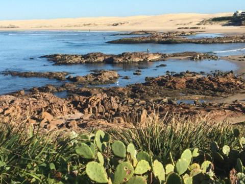 Cromarty Cottage 900m From Birubi Beach - New Castle Holiday 4