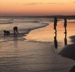 Cromarty Cottage 900m from Birubi Beach - New Castle Holiday