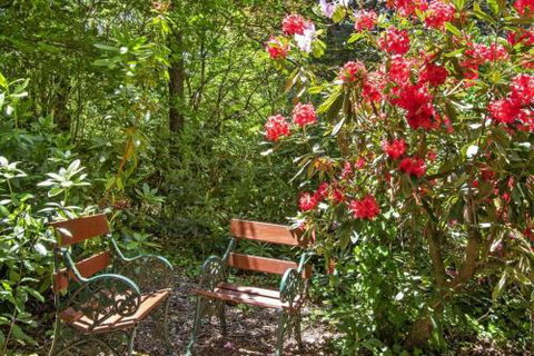 Jalscene - New Castle Holiday 5