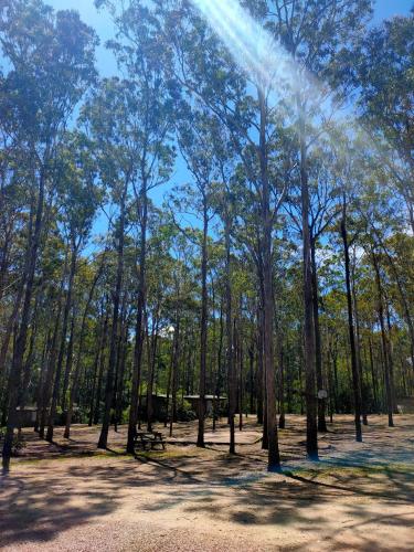 Lakes Entrance Log Cabins - New Castle Holiday 1