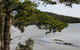 Rockpool Cottage - thumb 4