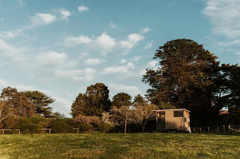 Bedervale Tiny - New Castle Holiday 6