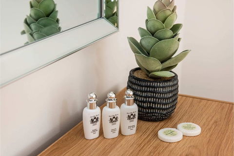 Executive 1BR Suite - Close To Foreshore & Cbd - New Castle Holiday 0