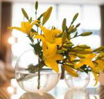 KUI Manhattan Apartments - New Castle Holiday