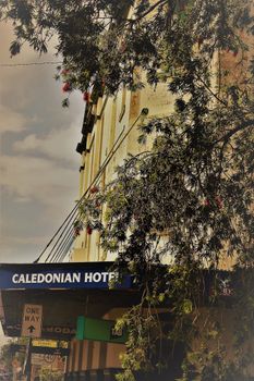 Caledonian Hotel - New Castle Holiday 0