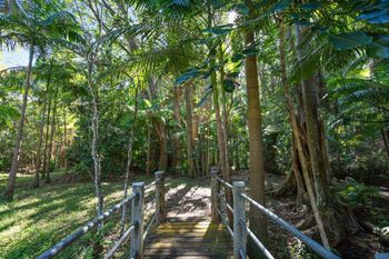 Paperbark - New Castle Holiday 1