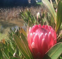 Creswick Cabin Retreat - New Castle Holiday