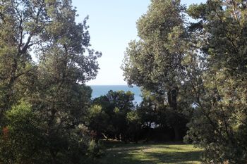 Uringah Rejuvenate Stays - New Castle Holiday 6