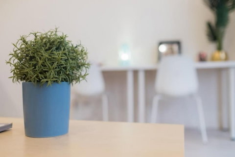 Willis Wolli Crk 35 - New Castle Holiday 3