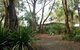 Port Stephens Koala Sanctuary - thumb 2