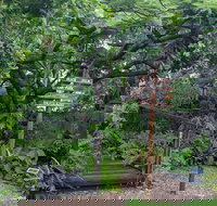 Woolshed Eco Lodge - New Castle Holiday