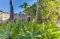 Rockhampton Riverside Central Hotel - New Castle Holiday 1