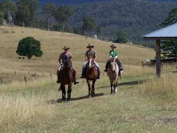Lillydale Farmstay - New Castle Holiday 0