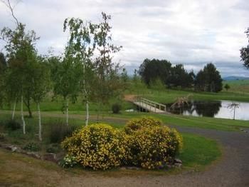 Buttercup Cottage & Private Apartment - New Castle Holiday 3