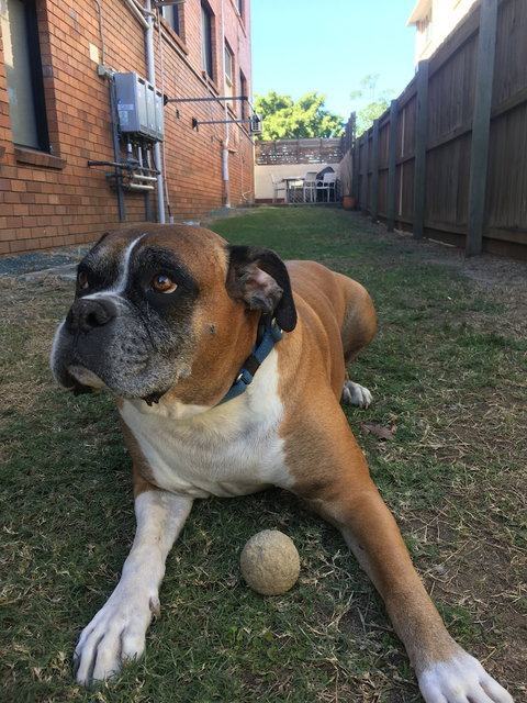 Kingsford Riverside Inn - New Castle Holiday 6