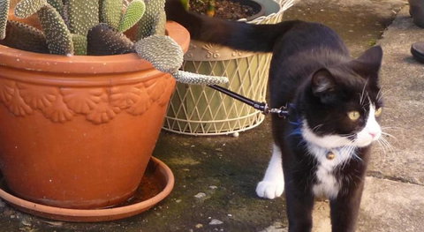 Kingsford Riverside Inn - New Castle Holiday 4