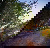 Dayboro Cottages  Llama Walks - New Castle Holiday