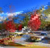 Beechworth Lake Sambell Caravan Park - New Castle Holiday