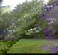 Petersons Armidale Winery  Guesthouse - New Castle Holiday