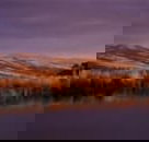 Wombat Hills Cottages - New Castle Holiday