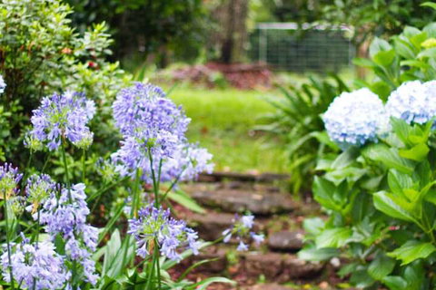 Mt Glorious Getaways - New Castle Holiday 4