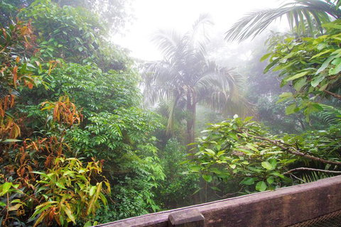 Mt Glorious Getaways - New Castle Holiday 7