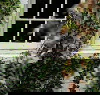 Fitzpatrick's Inn - New Castle Holiday