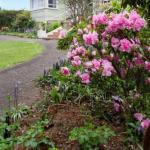 Tonganah TAS New Castle Holiday