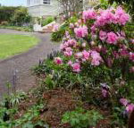 Anabels of Scottsdale - New Castle Holiday