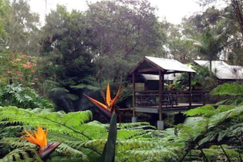 The Oasis At One Mile Beach - New Castle Holiday 2