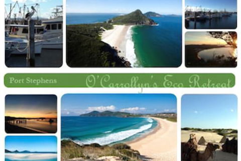 The Oasis At One Mile Beach - New Castle Holiday 5