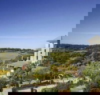 Morning Sun Vineyard - New Castle Holiday