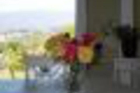 Eagles View Bed & Breakfast - New Castle Holiday 6