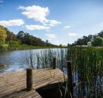 Gracefield Estate - New Castle Holiday