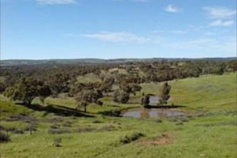 Clare View Accommodation - New Castle Holiday 6