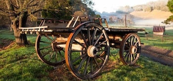 Toorongo VIC New Castle Holiday