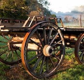 Toorongo River Sanctuary - New Castle Holiday