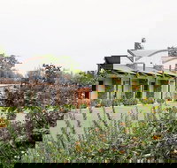 A Must At Coonawarra - New Castle Holiday