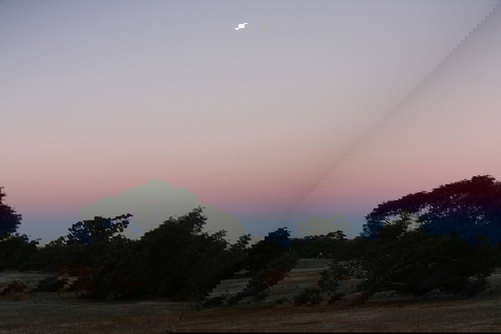 Pomonal VIC New Castle Holiday