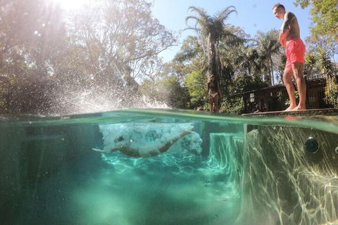 Samurai Beach Bungalows Port Stephens YHA - New Castle Holiday 3