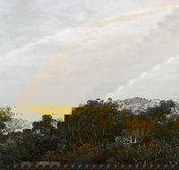 Anderida - New Castle Holiday