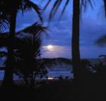 Sejala Beach Huts - New Castle Holiday