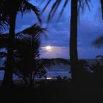Sejala Beach Huts - New Castle Holiday 0
