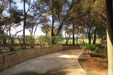 Bentwood Olive Grove Accommodation - New Castle Holiday 3