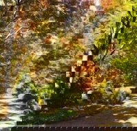 Chalets Lumineux - New Castle Holiday